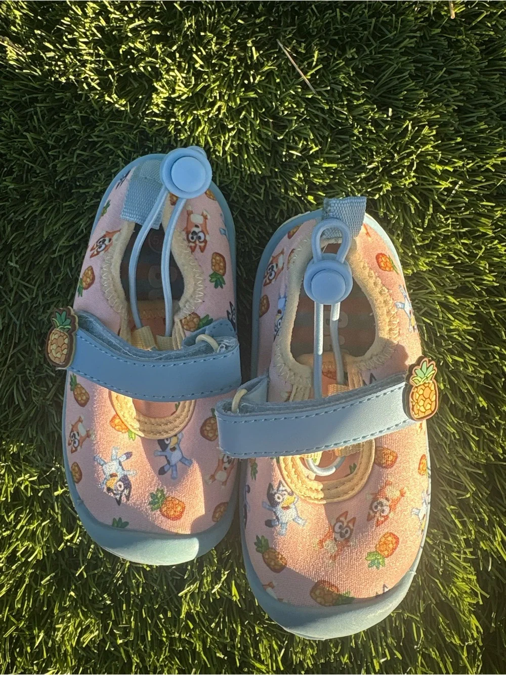 Bluey slippers and shoes size 5/6 toddler